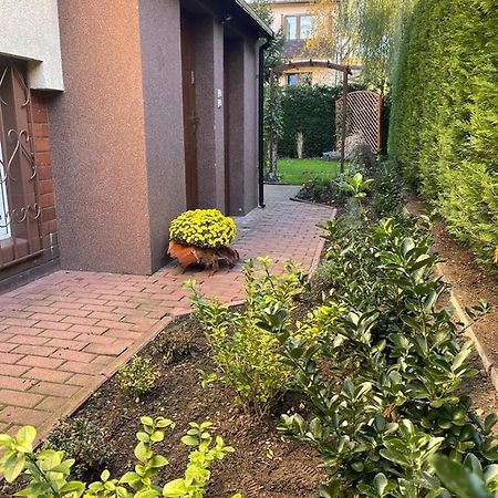 Maly Apartament Z Kuchnia I Lazienka Apartment Szczecin Ngoại thất bức ảnh